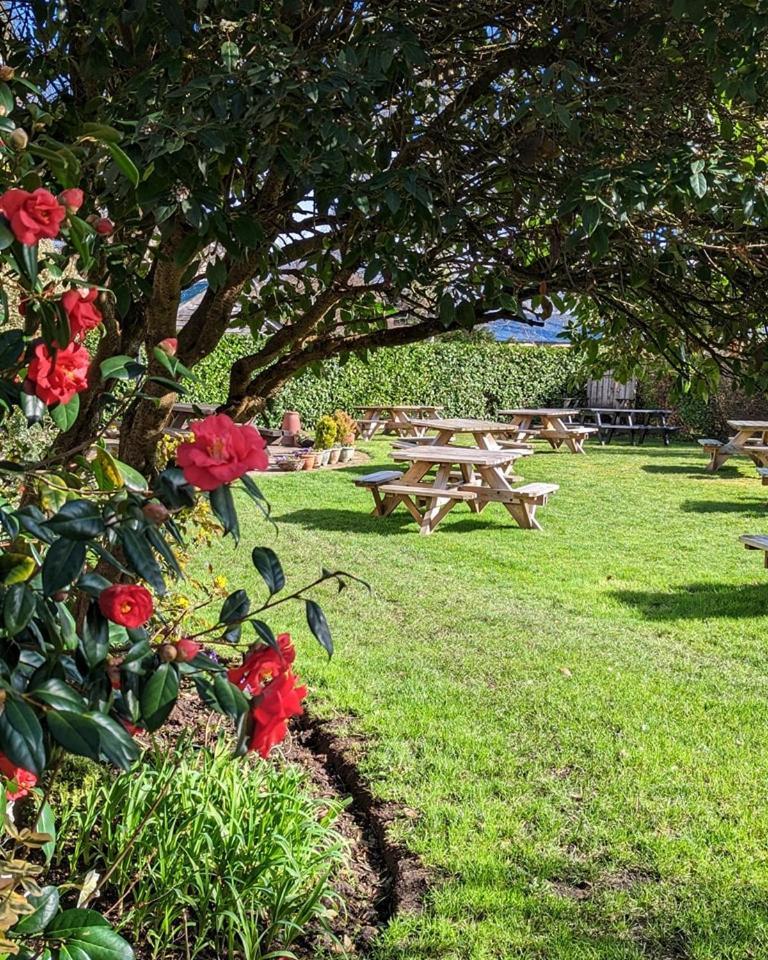 The Mortimer Arms (Adults Only) 拉姆西 外观 照片