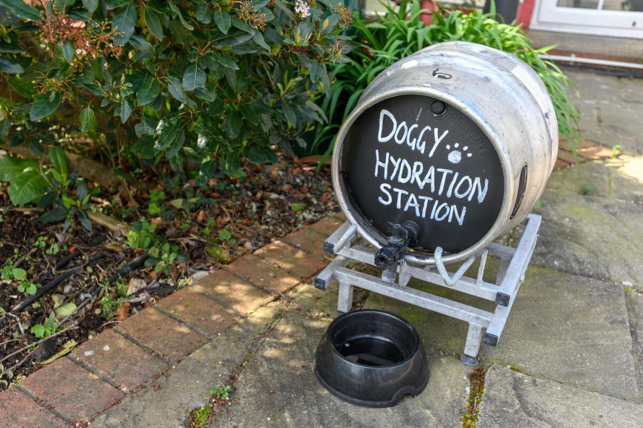 The Mortimer Arms (Adults Only) 拉姆西 外观 照片